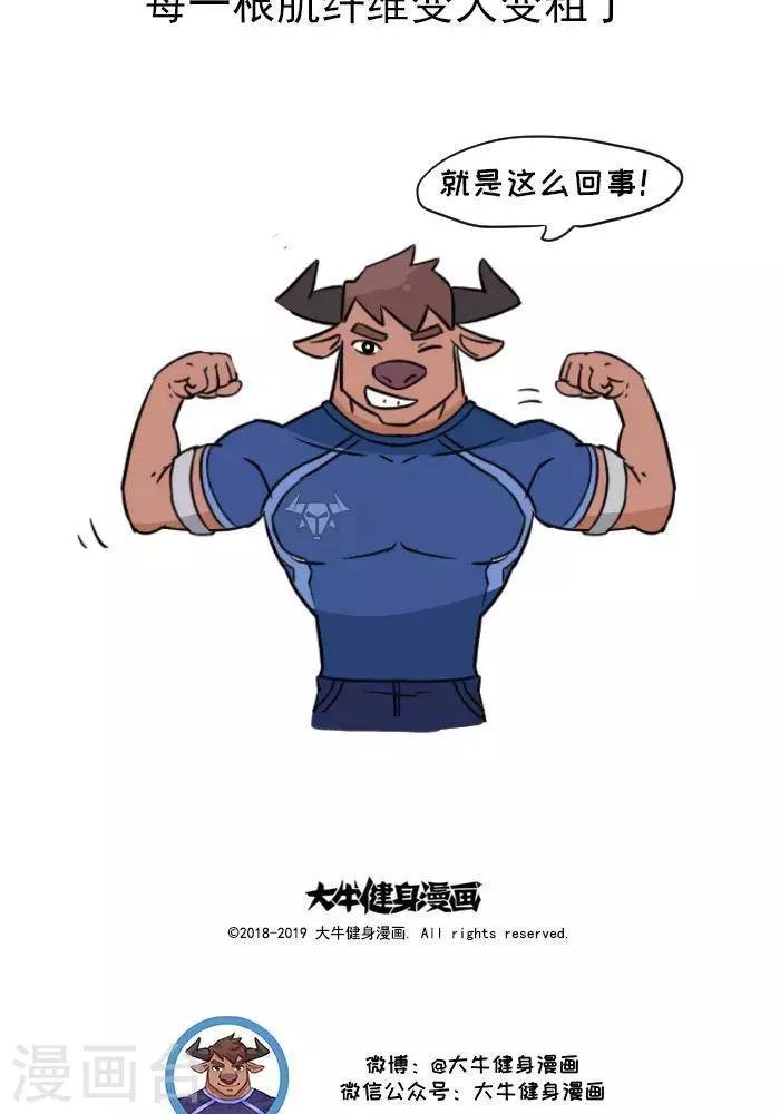 第11话 你对肌肉多了解？