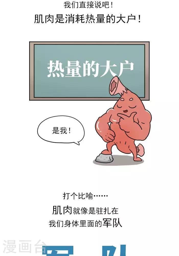 第12话 肌肉，减肥的好帮手！