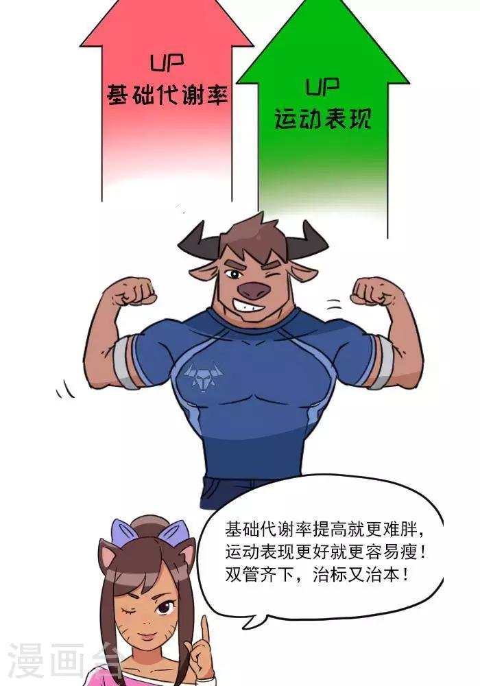第12话 肌肉，减肥的好帮手！