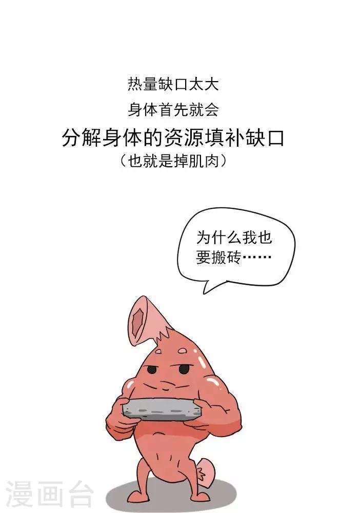 第12话 肌肉，减肥的好帮手！