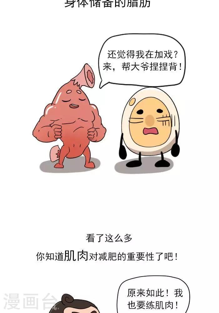 第12话 肌肉，减肥的好帮手！