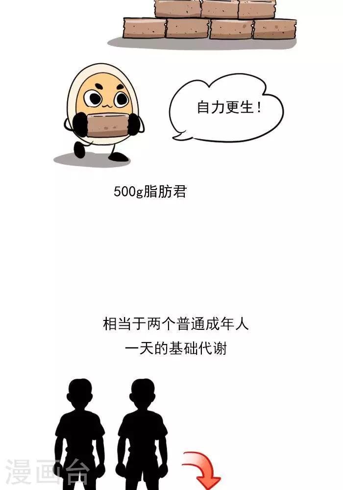 第19话 减肥和减重是一样的吗？