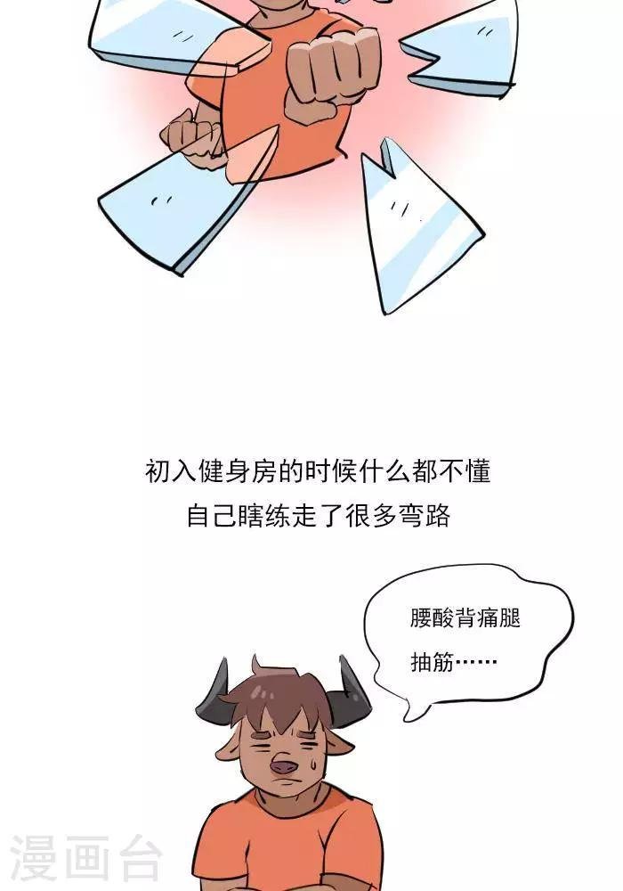 第22话 健身的导航图