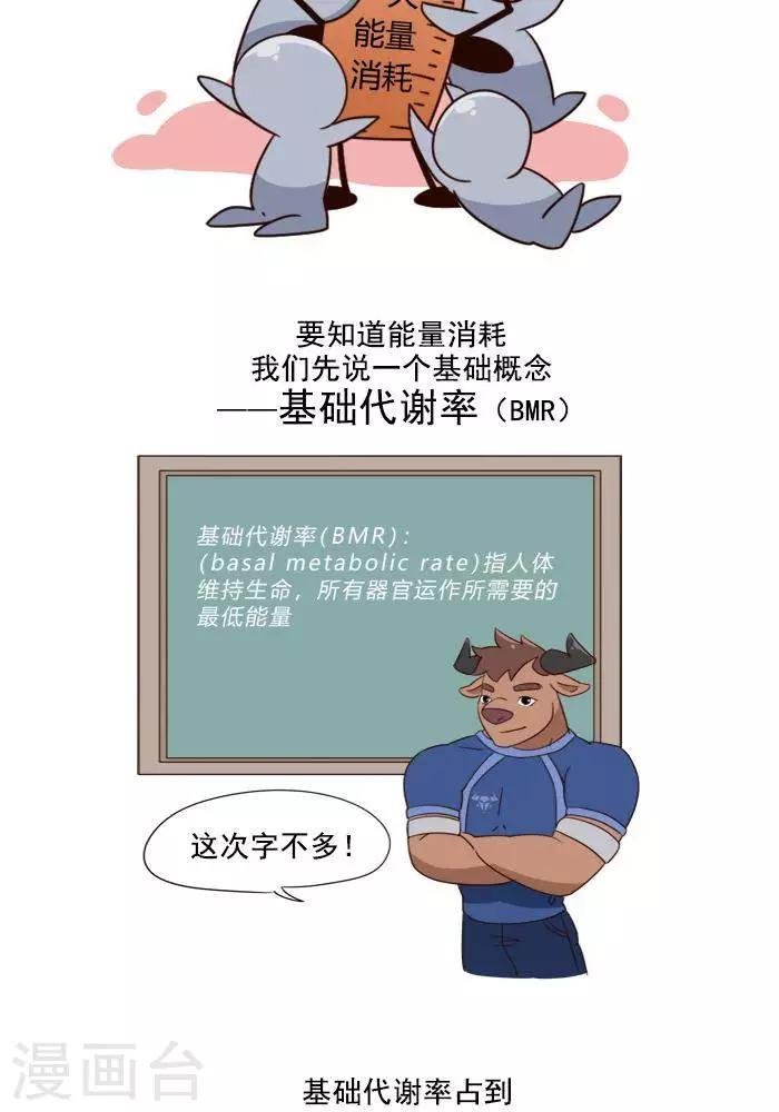 第3话 我一天的能量消耗有多少？