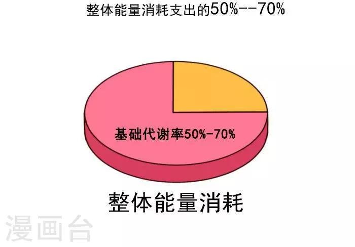 第3话 我一天的能量消耗有多少？