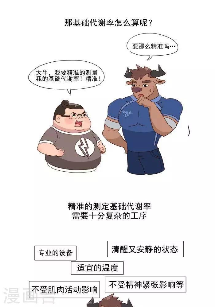 第3话 我一天的能量消耗有多少？