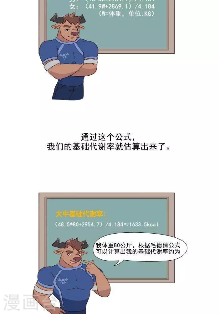 第3话 我一天的能量消耗有多少？