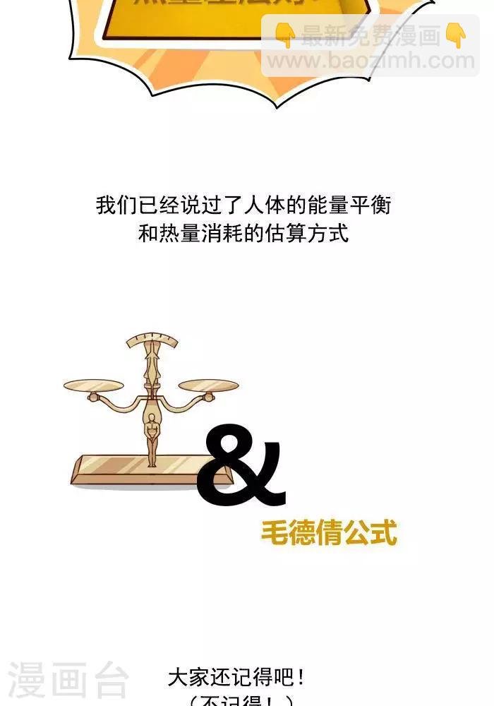 第4话 减肥的黄金法则！
