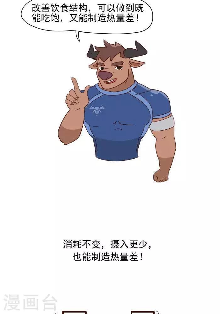 第4话 减肥的黄金法则！