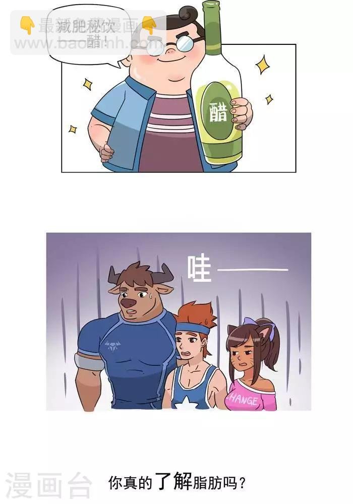 第5话 脂肪有多神秘