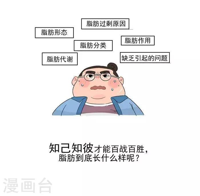 第5话 脂肪有多神秘