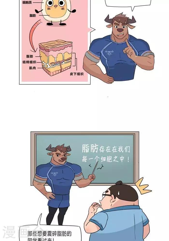 第5话 脂肪有多神秘