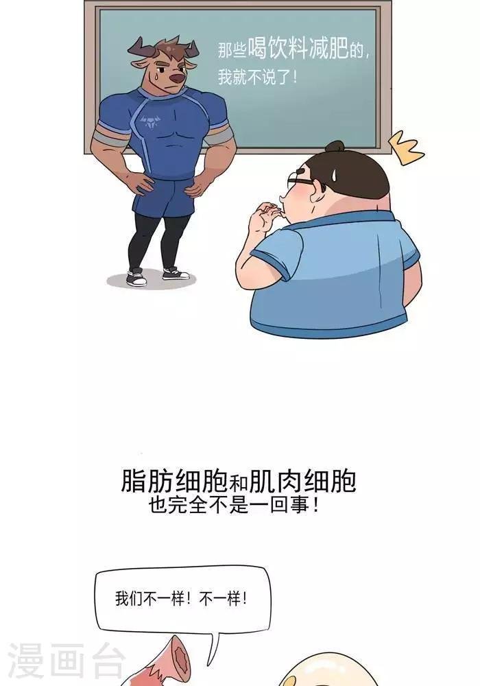 第5话 脂肪有多神秘