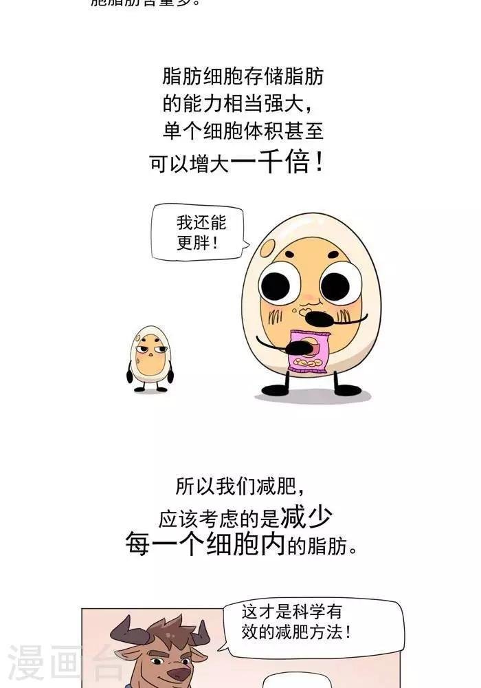 第5话 脂肪有多神秘