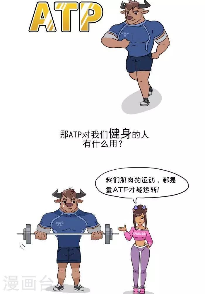 第7话 ATP是什么？