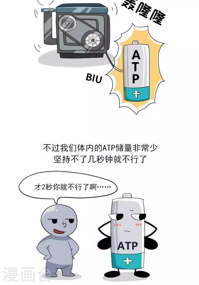 第7话 ATP是什么？