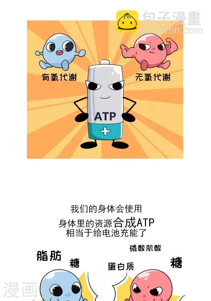第7话 ATP是什么？