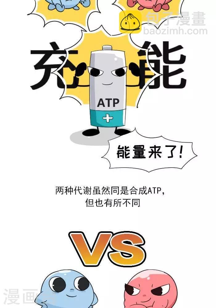 第7话 ATP是什么？