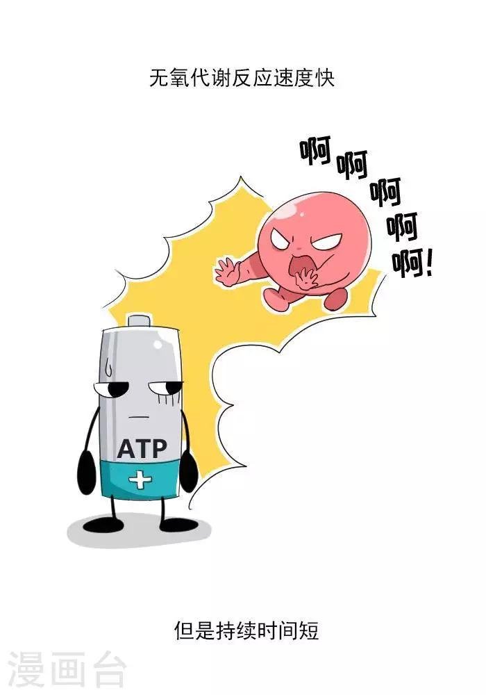 第7话 ATP是什么？