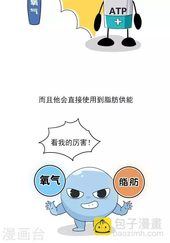 第7话 ATP是什么？
