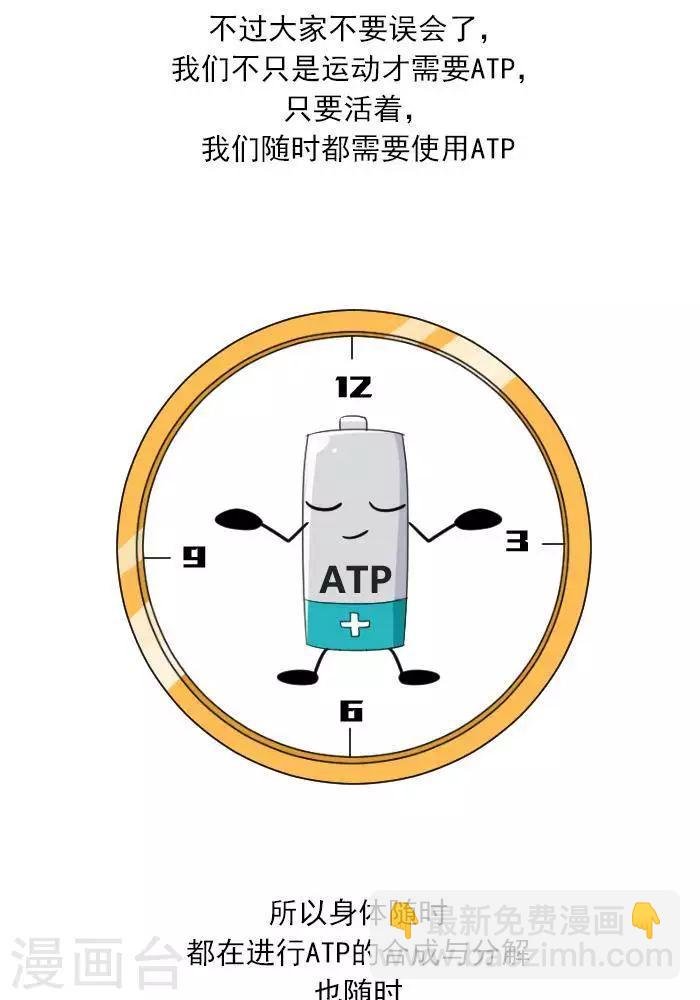 第7话 ATP是什么？