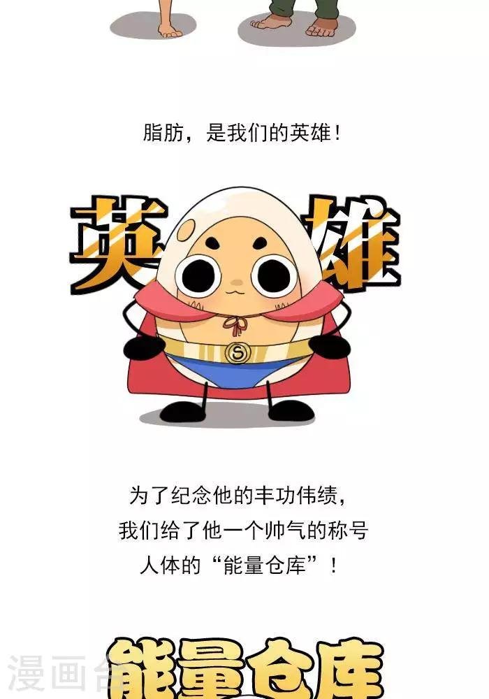 第8话 脂肪的前世今生