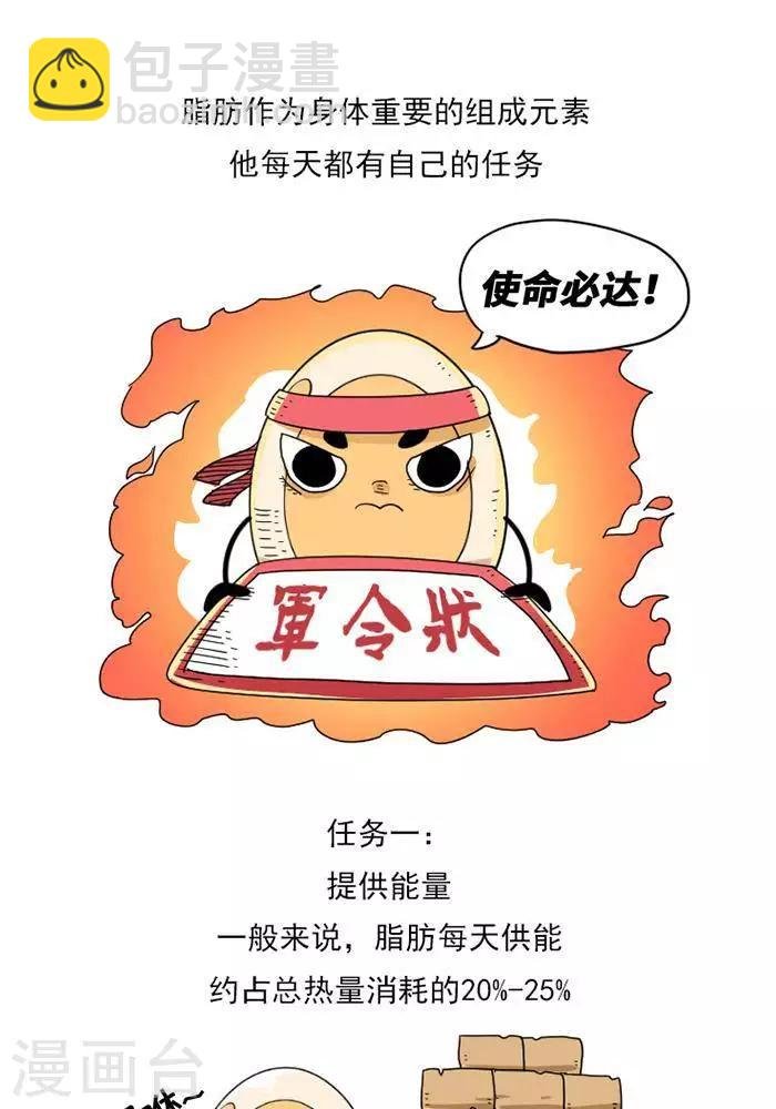 第8话 脂肪的前世今生