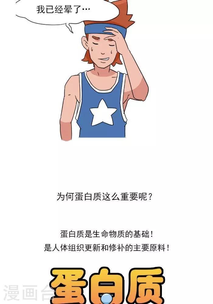 第9话 蛋白质知多少？