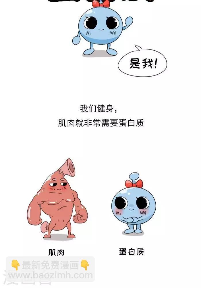 第9话 蛋白质知多少？