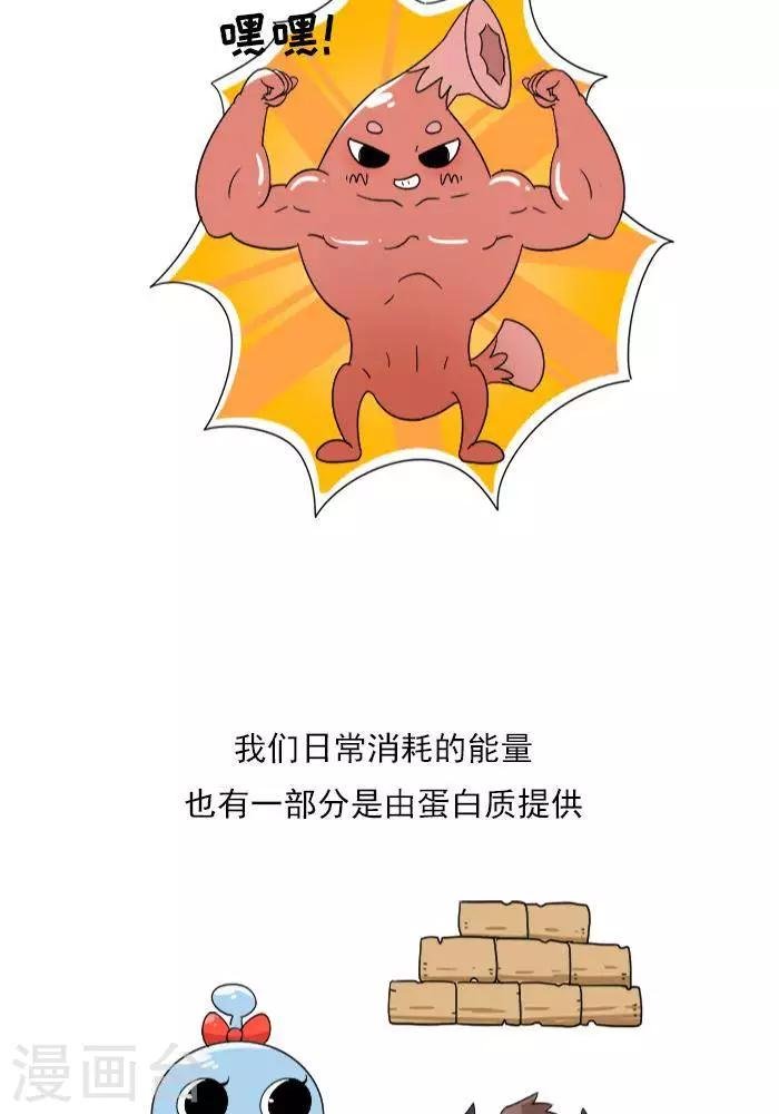 第9话 蛋白质知多少？