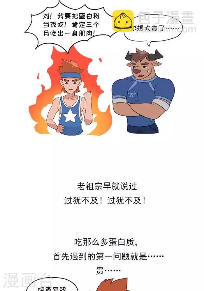 第9话 蛋白质知多少？
