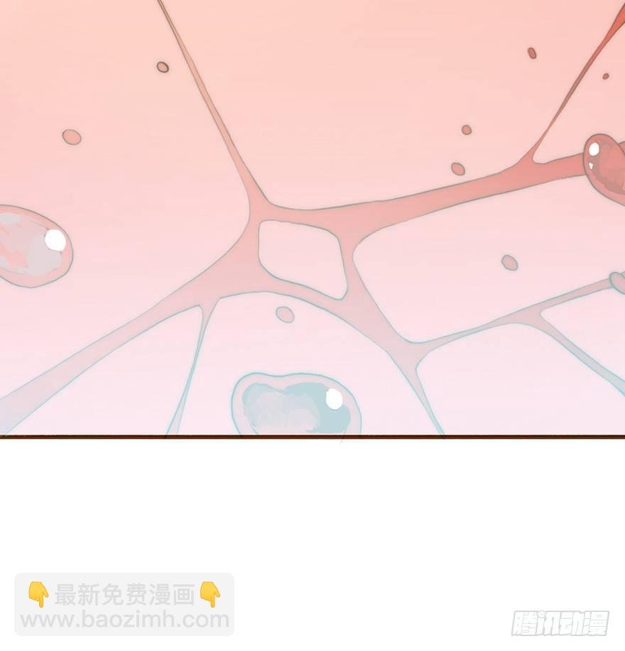 迟开之花（八）