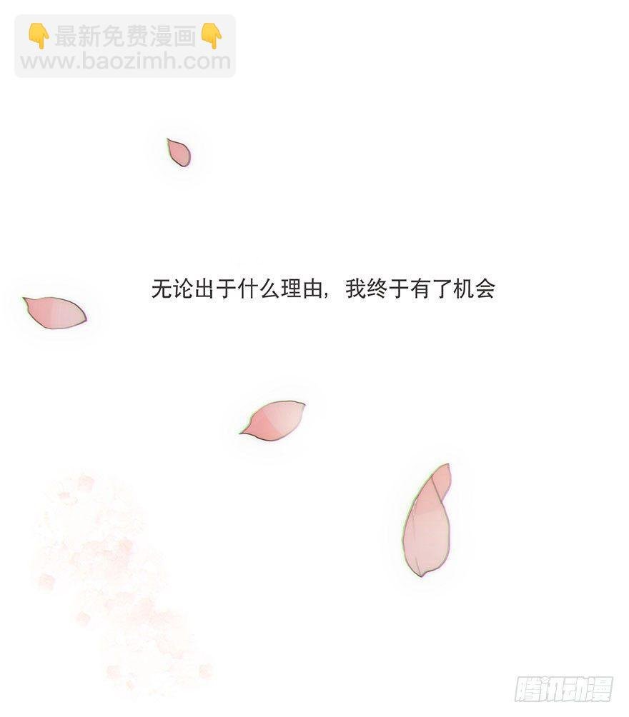 迟开之花（九）