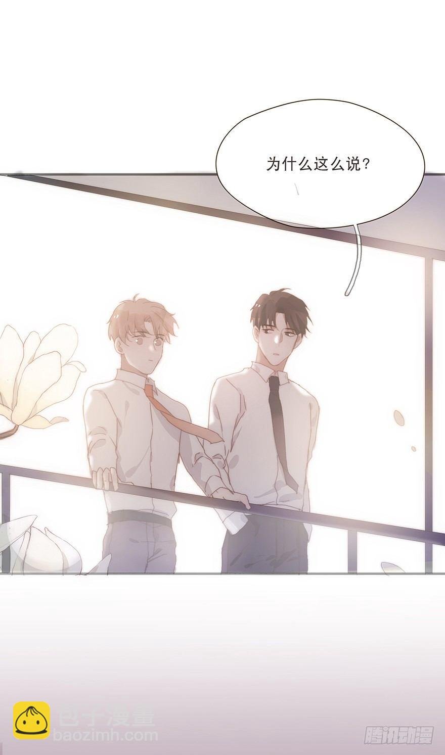 迟开之花（十四）