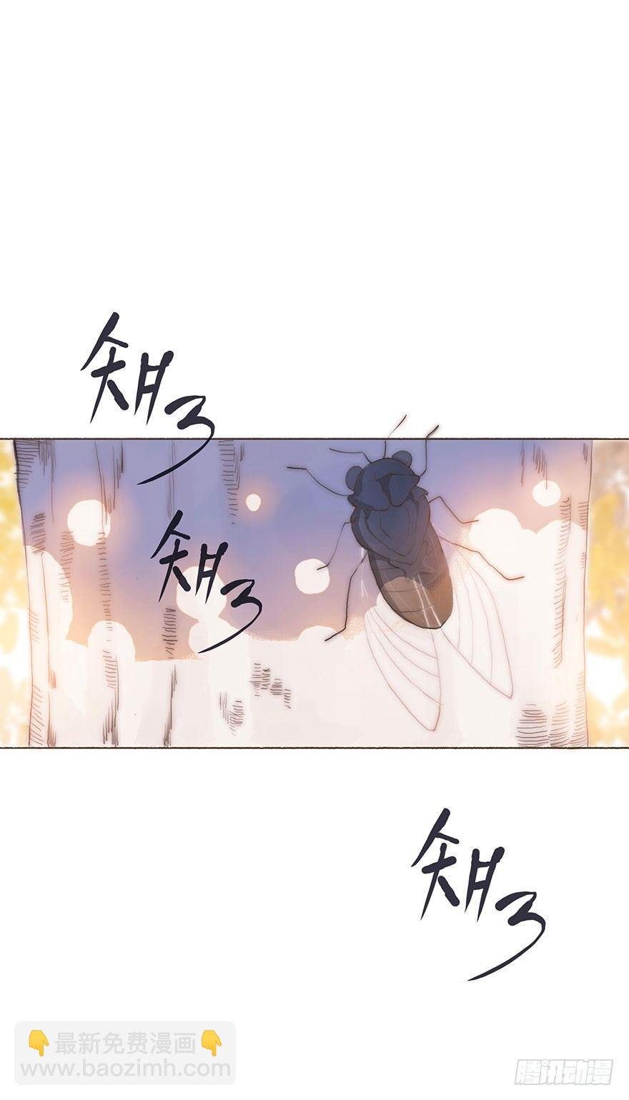 迟开之花（一）