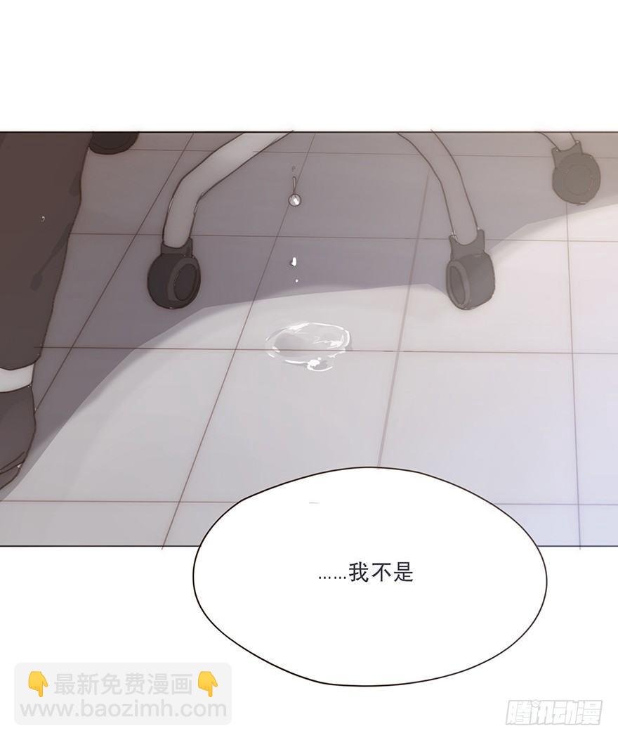 迟开之花（十九）