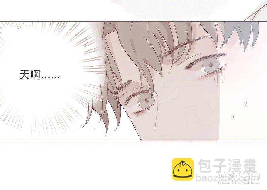 迟开之花（二）