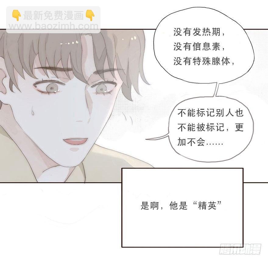 迟开之花（二）