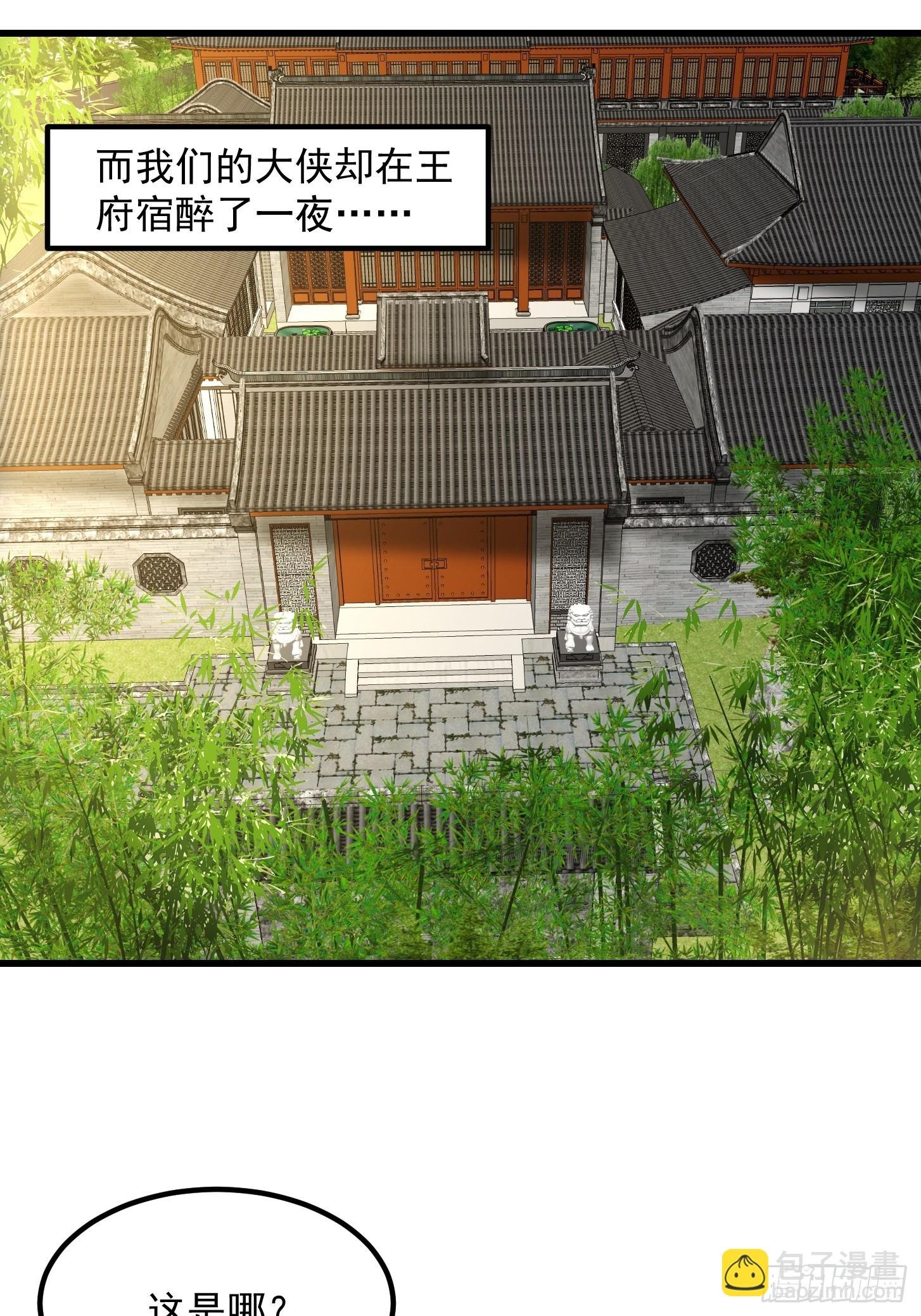 100 来自古代的鹅绒枕头