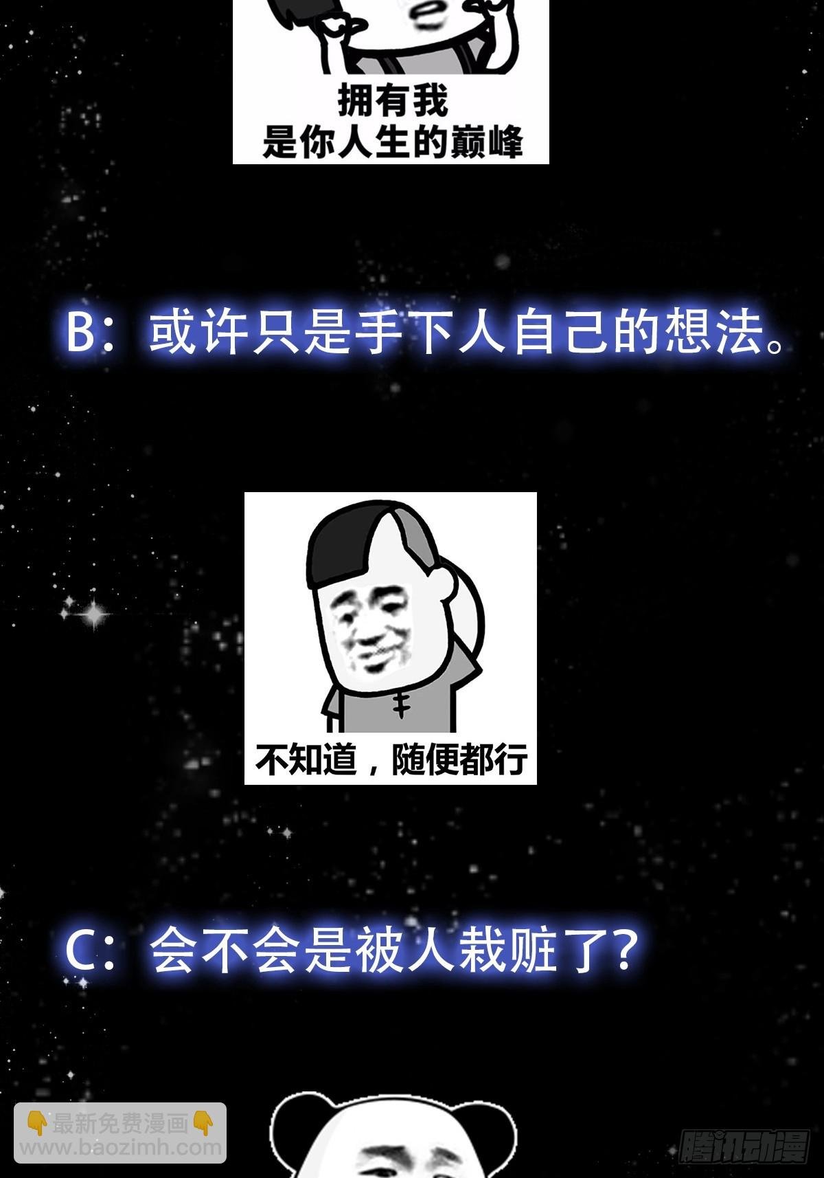 100 来自古代的鹅绒枕头