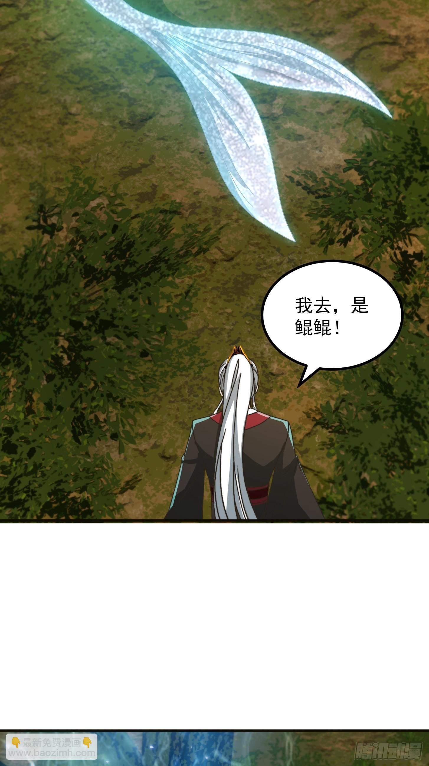 143 这里居然有只鲲？！