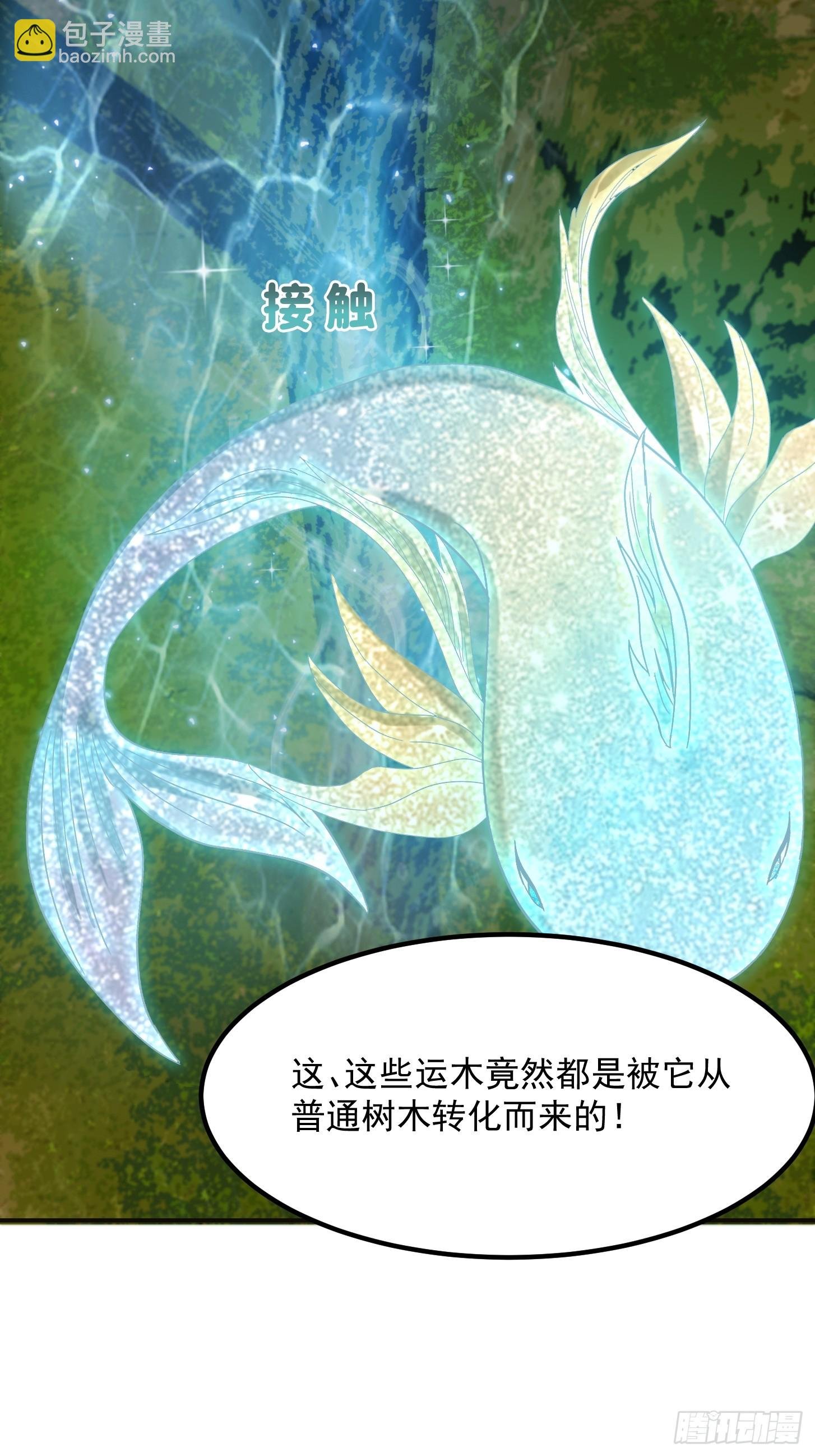 143 这里居然有只鲲？！
