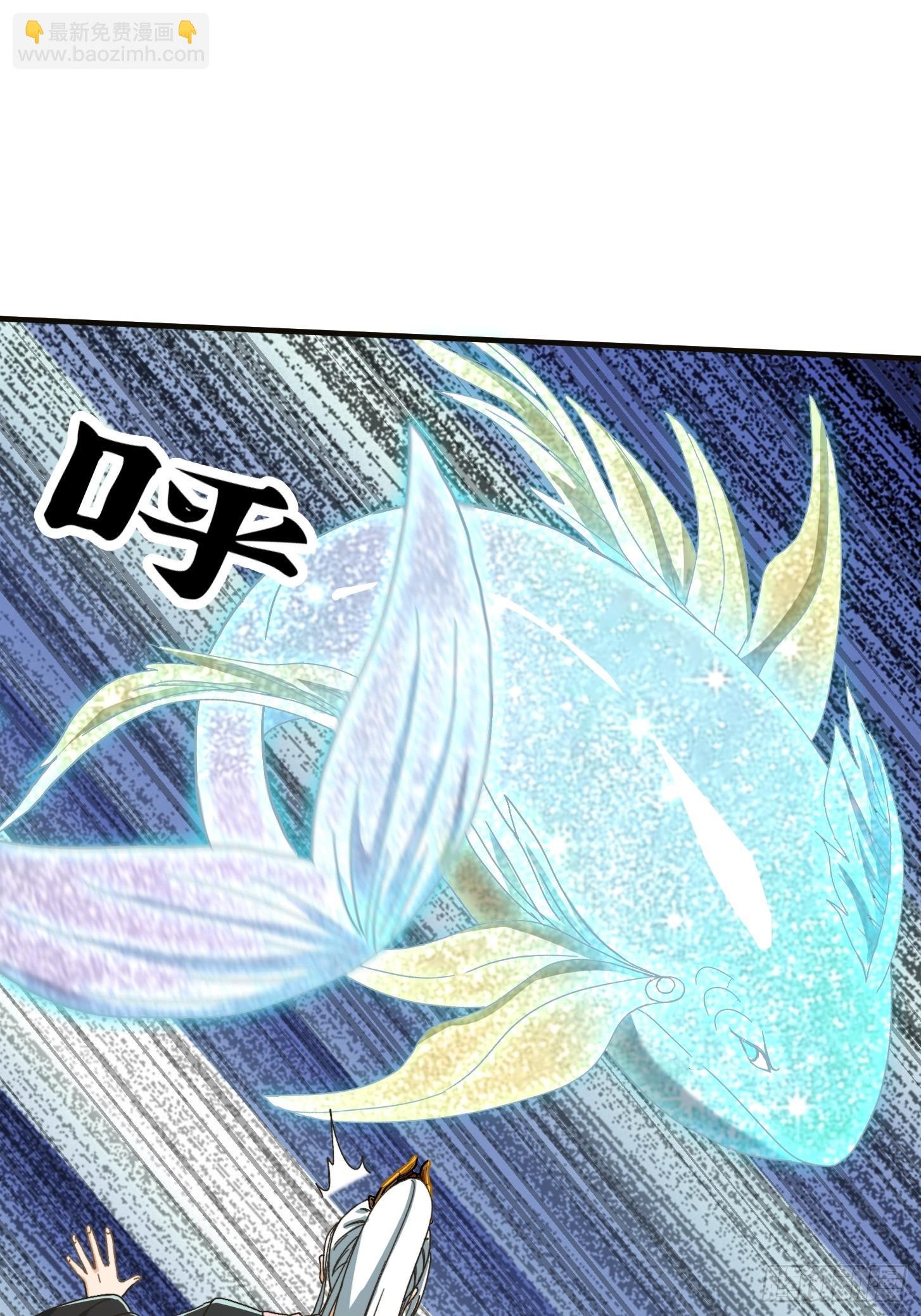 143 这里居然有只鲲？！