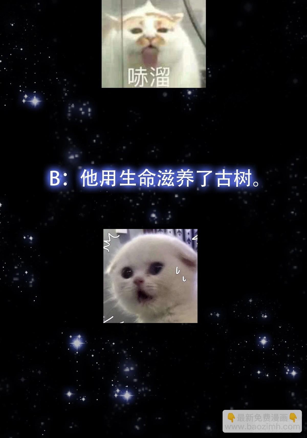 145 玉牌中的世界
