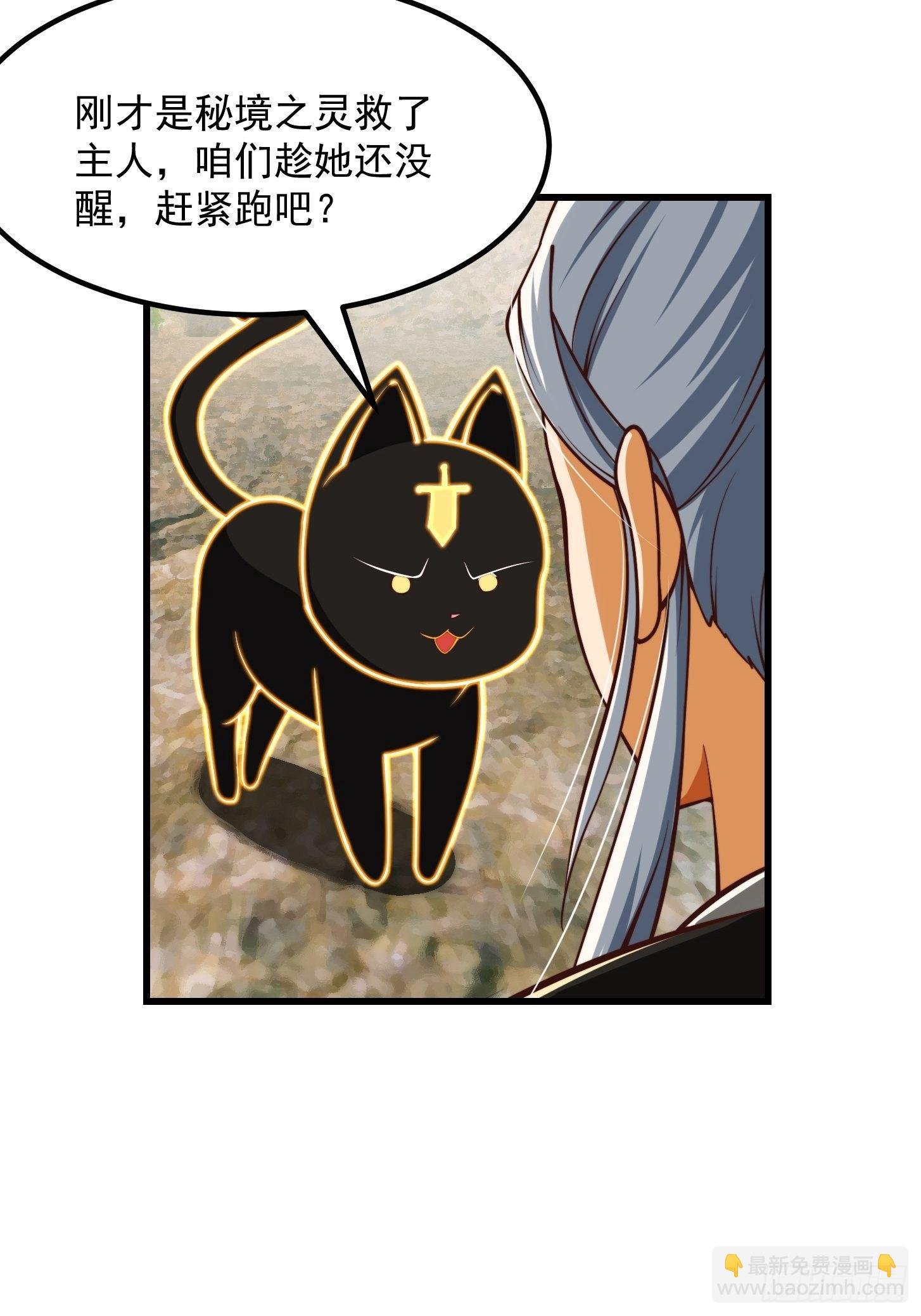 38话 人间清醒的猫