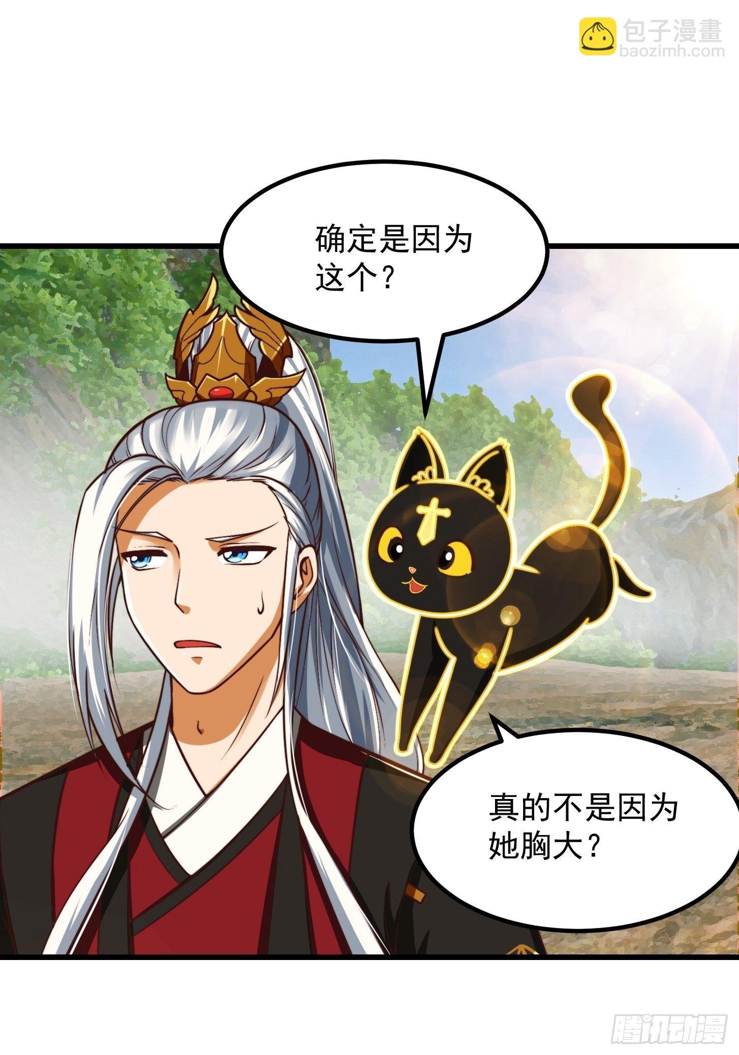 38话 人间清醒的猫