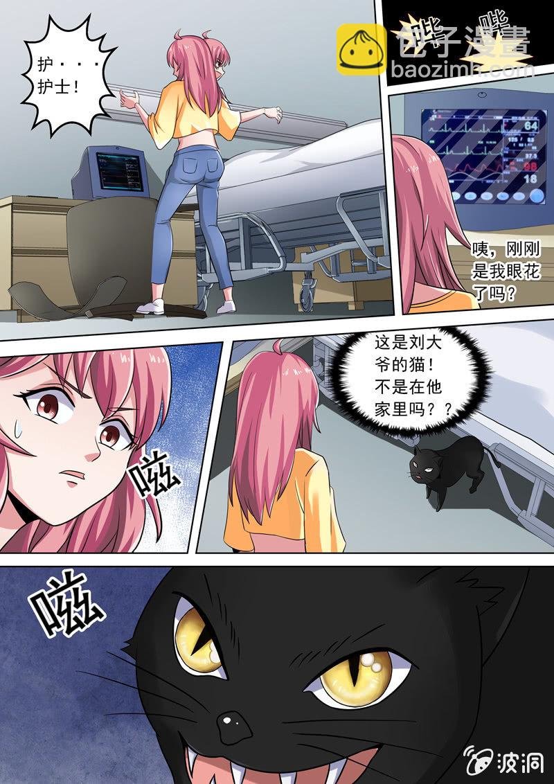 不详的黑猫