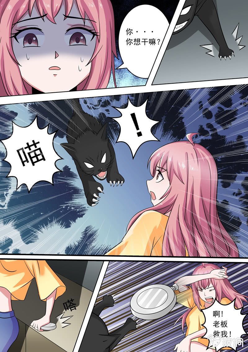 不详的黑猫