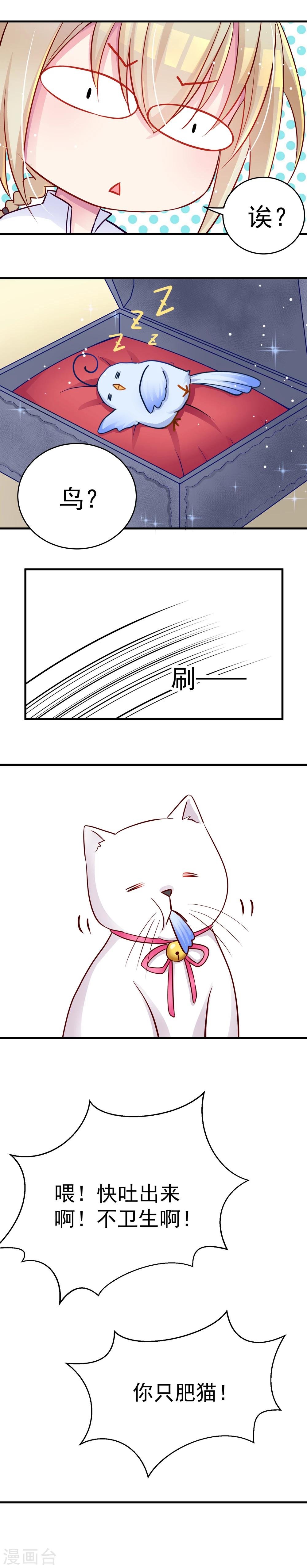 第3话 大晚上找猫的我一定有毛病