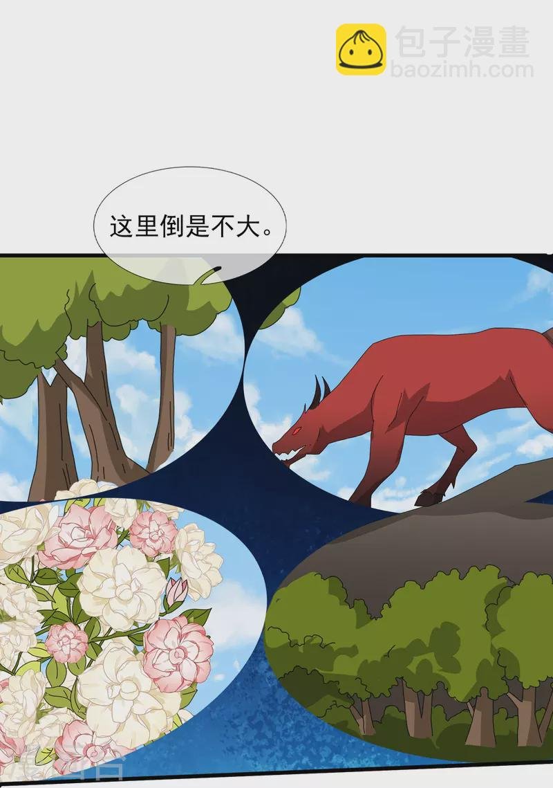 第381话 凤凰血脉